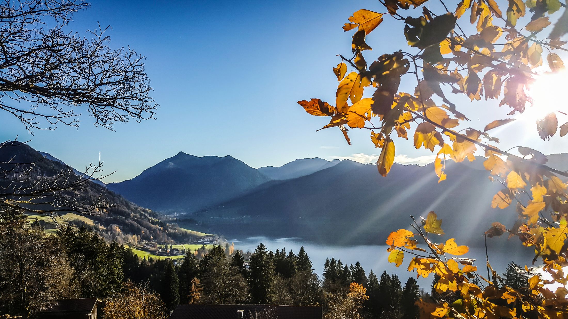 Hintergrund-Bild