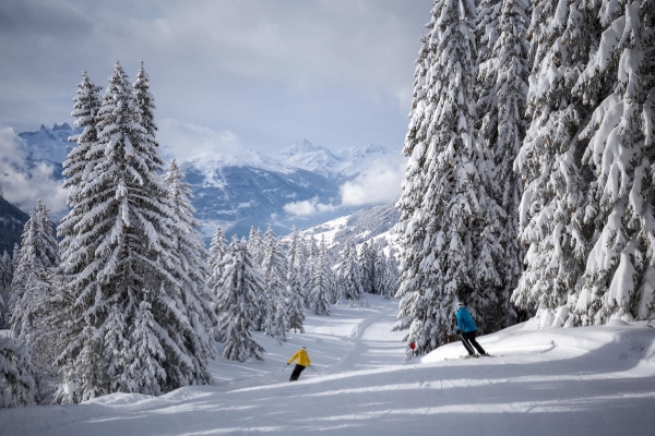 Landscape ©Achim Mende, Internationale Bodensee Tourismus GmbH