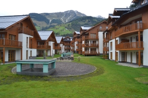 Apartment and Chalet 