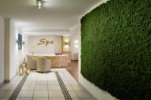 Spa and wellness 