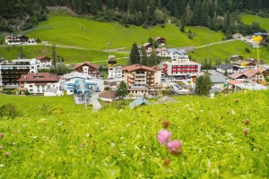 Apartment and Chalet 