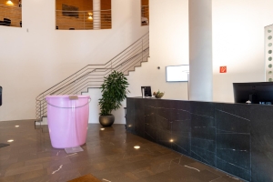 Reception & Lobby 