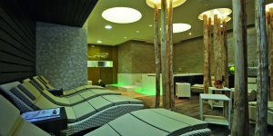 Spa and Wellness 