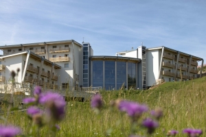 Apartment and Chalet 