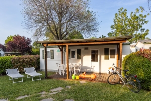 Apartment and Chalet 