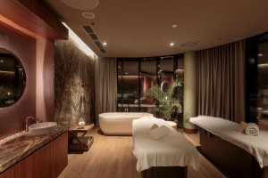 Spa and Wellness 