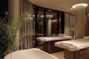 Spa and Wellness 