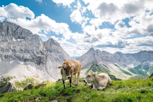 Landscape © Michael Stabentheiner/Kärnten Werbung