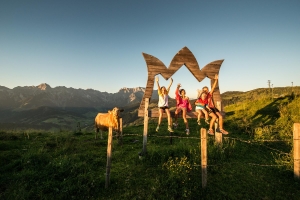 Landscape © Hochkönig Bildbank