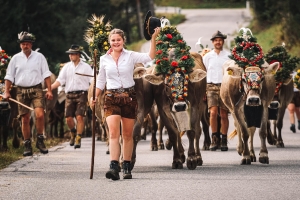 Almabtrieb © zillertaltourismus/Josef Unterlercher