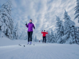 Landscape © Harzer Tourismusverband D. Kuehne