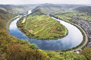 Landscape © Deutsches Weininstitut GmbH