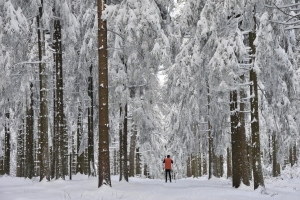 Landscape © LutzThümmel